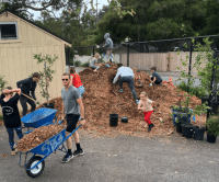 Campus Canopy SBEF Fiscally Sponsored Campus Canopy photograph of people doing garden work at a local school
